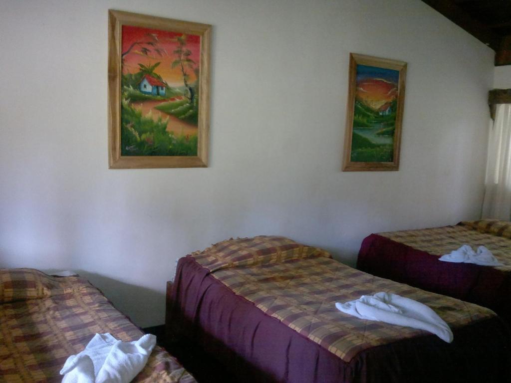 Hostel Villa Verde Monteverde Eksteriør bilde