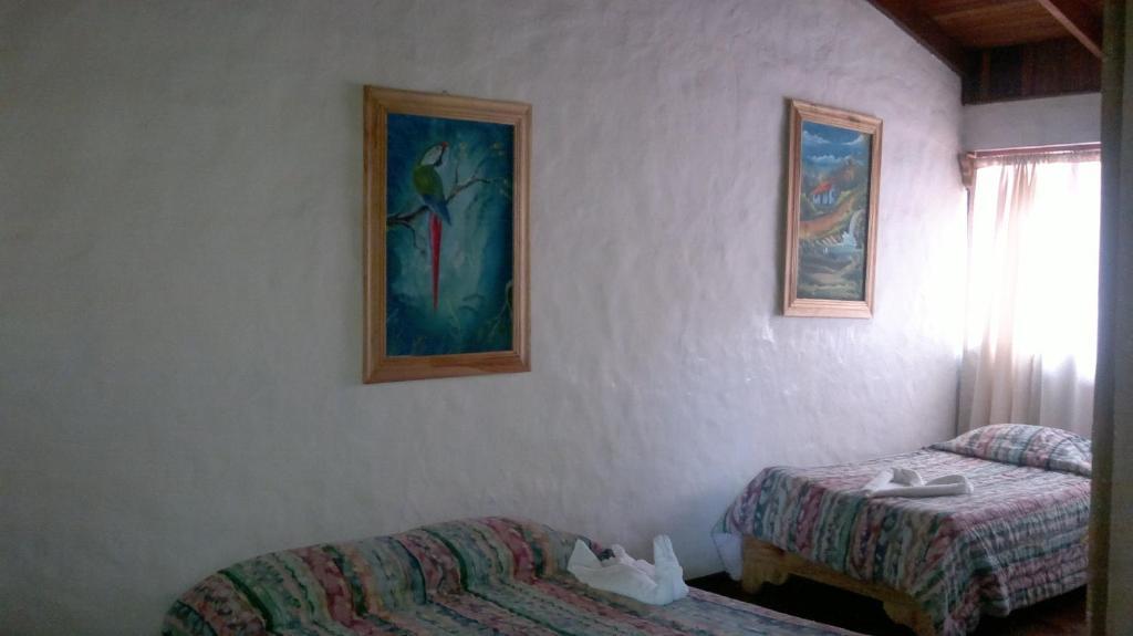 Hostel Villa Verde Monteverde Eksteriør bilde